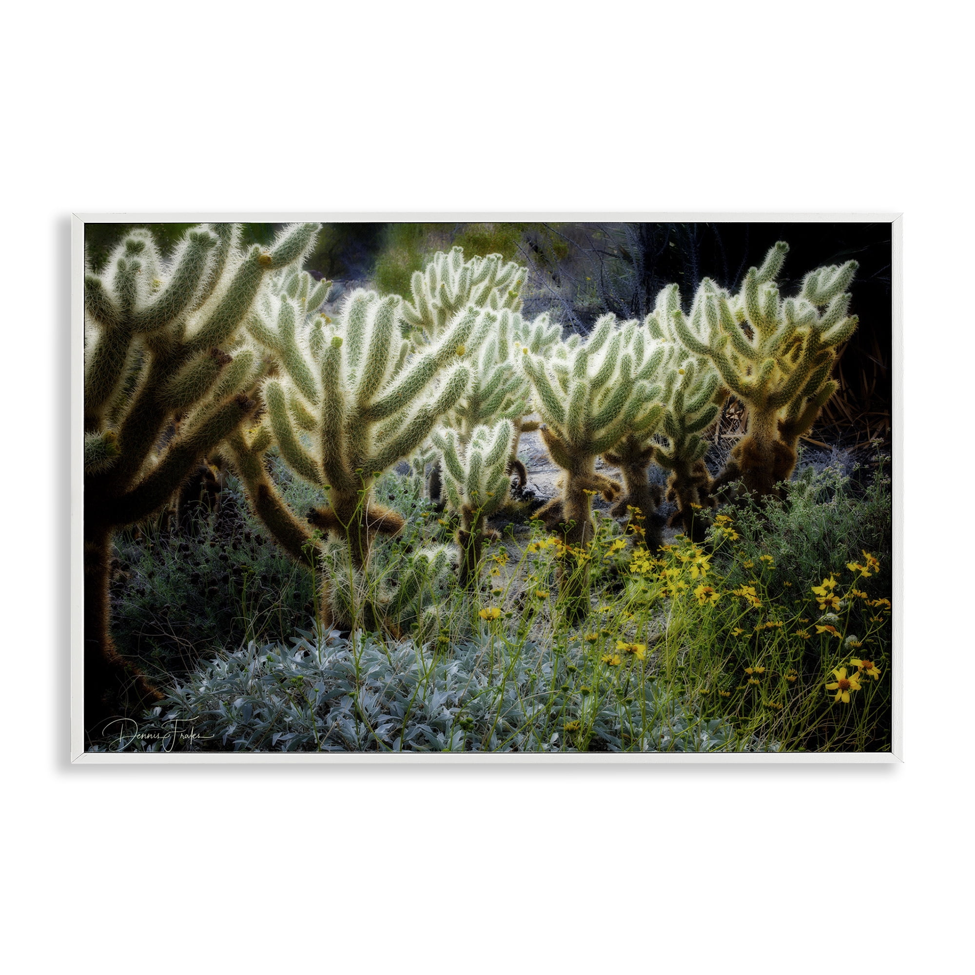 Stupell Industries Desert Cactus Forest Landscape Photography White Framed Art Print Wall Art, 18 x 12