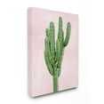 thumbnail image 1 of Stupell Industries Desert Cactus Plant Minimal Succulent Nature Pink Green Canvas Wall Art Design by Mia Jensen, 24" x 30", 1 of 6