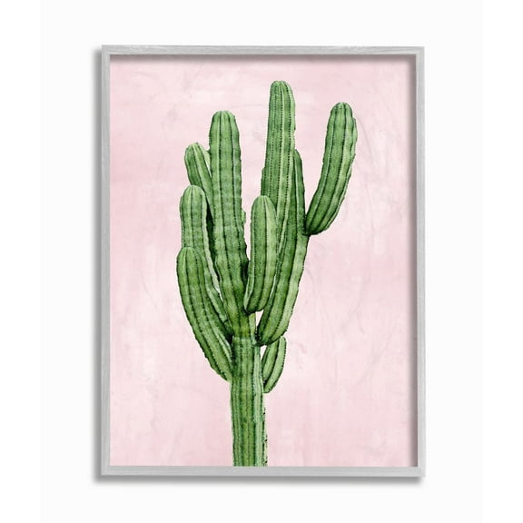 Stupell Industries Desert Cactus Plant Minimal Succulent Nature Pink Green Framed Wall Art Design by Mia Jensen, 16" x 20", Gray Framed