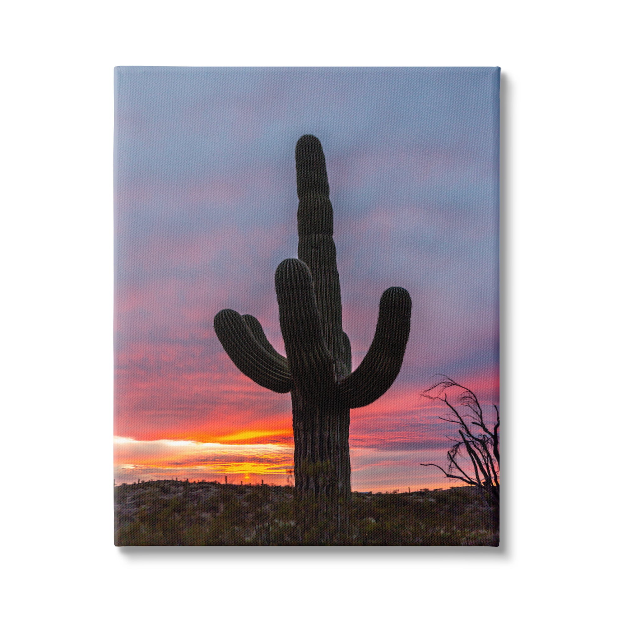 Stupell Industries Desert Cactus Plant Silhouette Radiant Sunset Sky Photograph Gallery Wrapped Canvas Print Wall Art, Design by Jeff Poe Photography