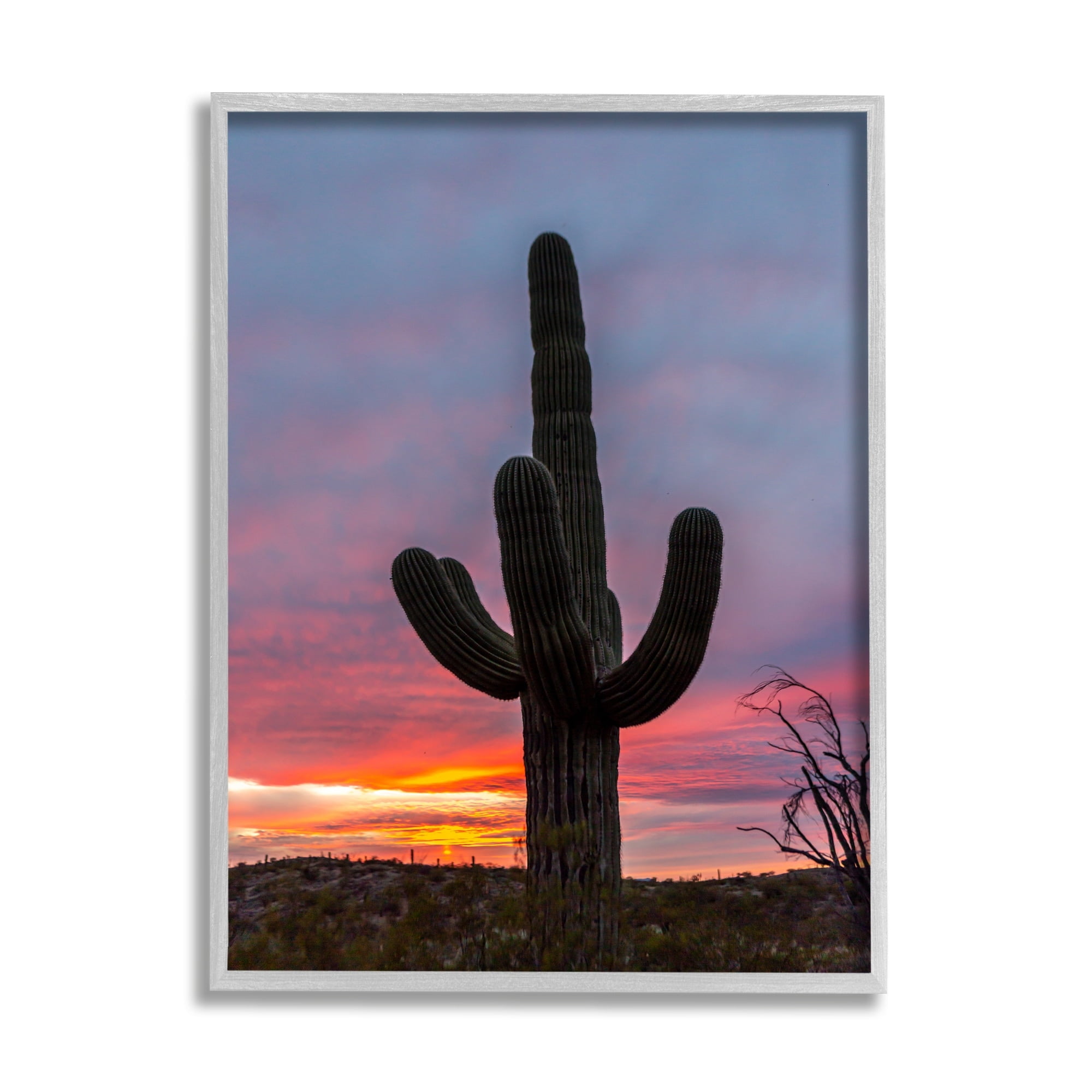 Stupell Industries Desert Cactus Plant Silhouette Radiant Sunset Sky Photograph Gray Framed Art Print Wall Art, Design by Jeff Poe Photography