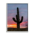thumbnail image 1 of Stupell Industries Desert Cactus Plant Silhouette Radiant Sunset Sky Photograph Gray Framed Art Print Wall Art, Design by Jeff Poe Photography, 1 of 5