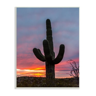 Stupell Industries Desert Cactus Plant Silhouette Radiant Sunset Sky Photograph Unframed Art Print Wall Art, Design by Jeff Poe Photography