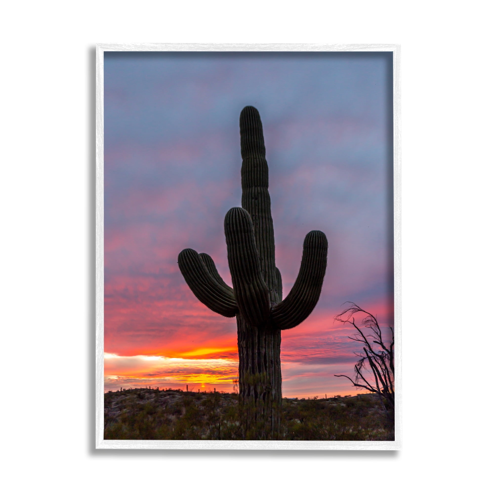 Stupell Industries Desert Cactus Plant Silhouette Radiant Sunset Sky Photograph White Framed Art Print Wall Art, Design by Jeff Poe Photography