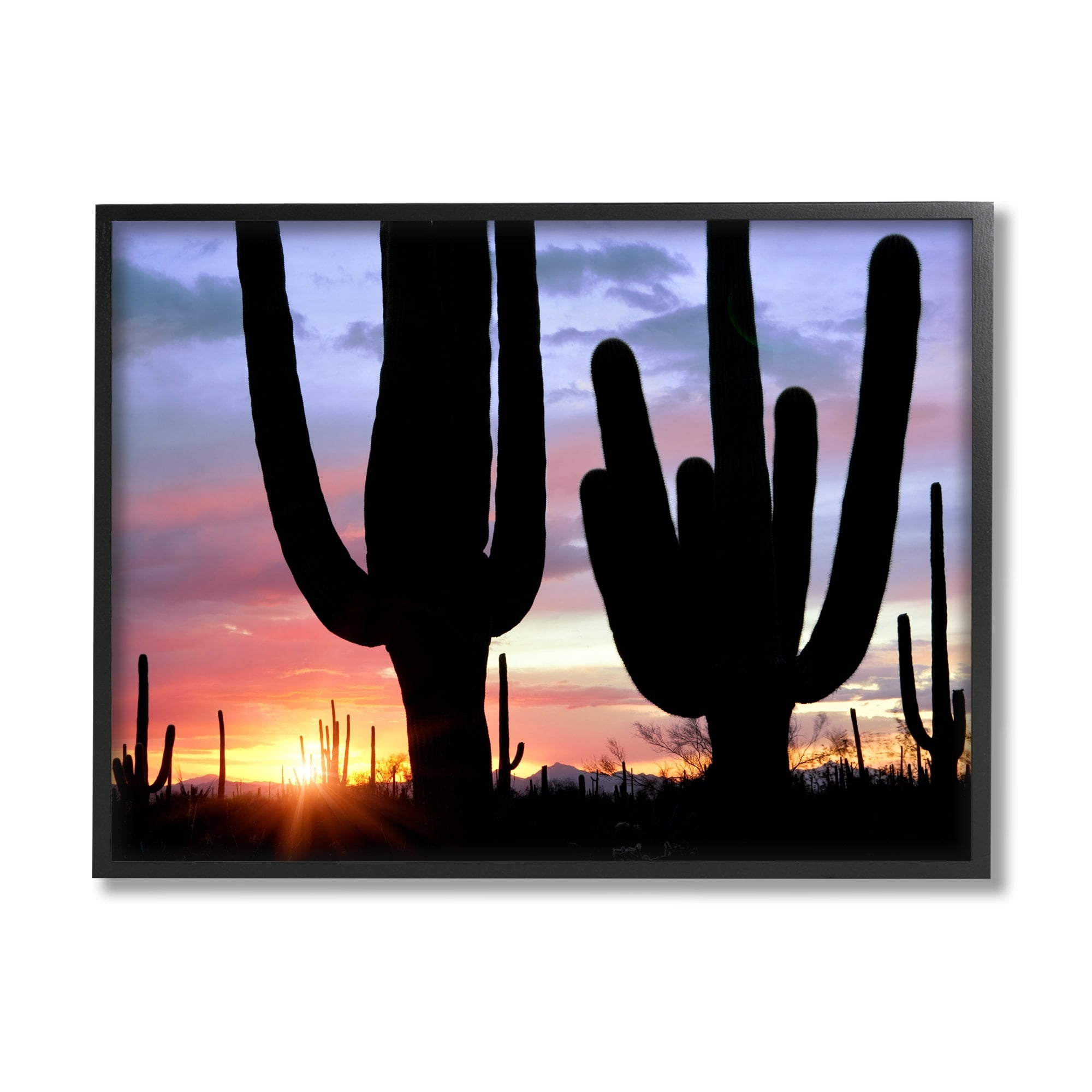 Stupell Industries Desert Cactus Sunset Silhouettes Landscape Photography Black Framed Art Print Wall Art