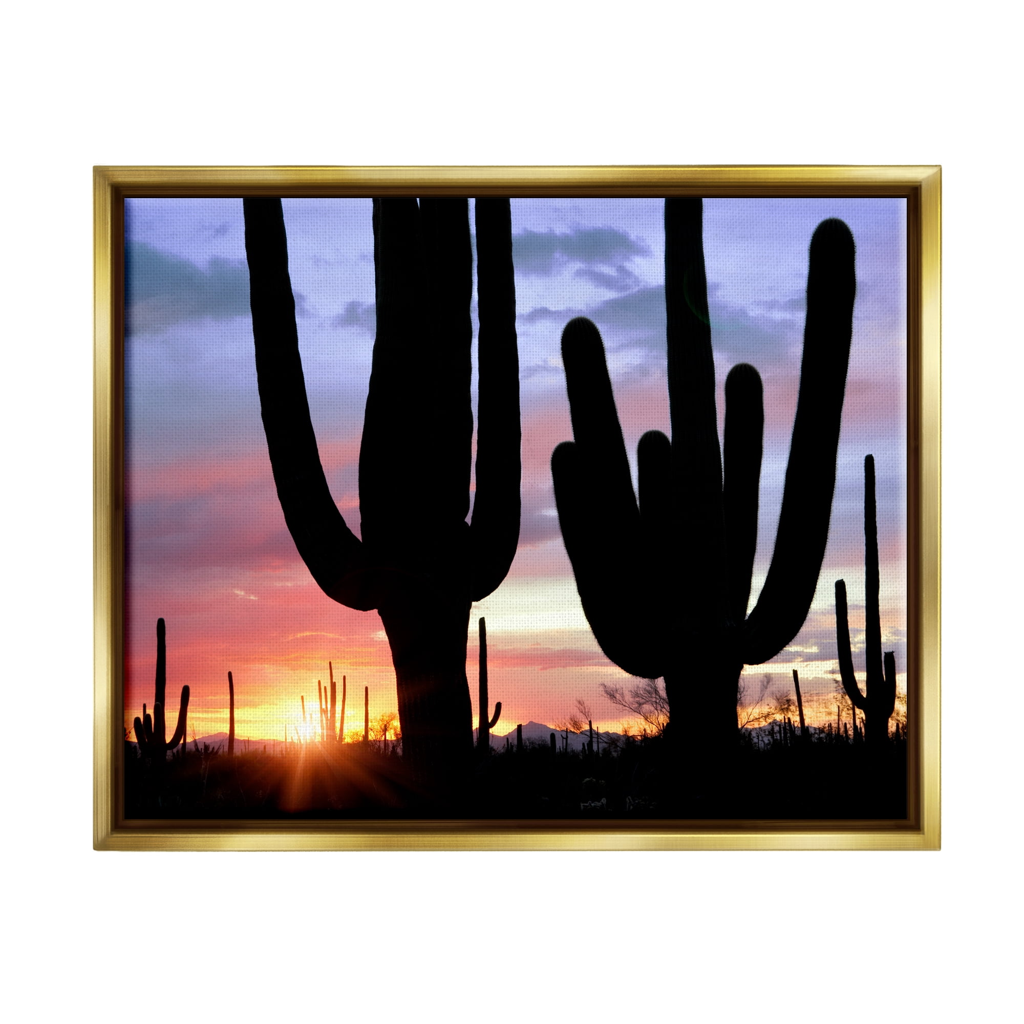 Stupell Industries Desert Cactus Sunset Silhouettes Landscape Photography Gold Floater Framed Art Print Wall Art
