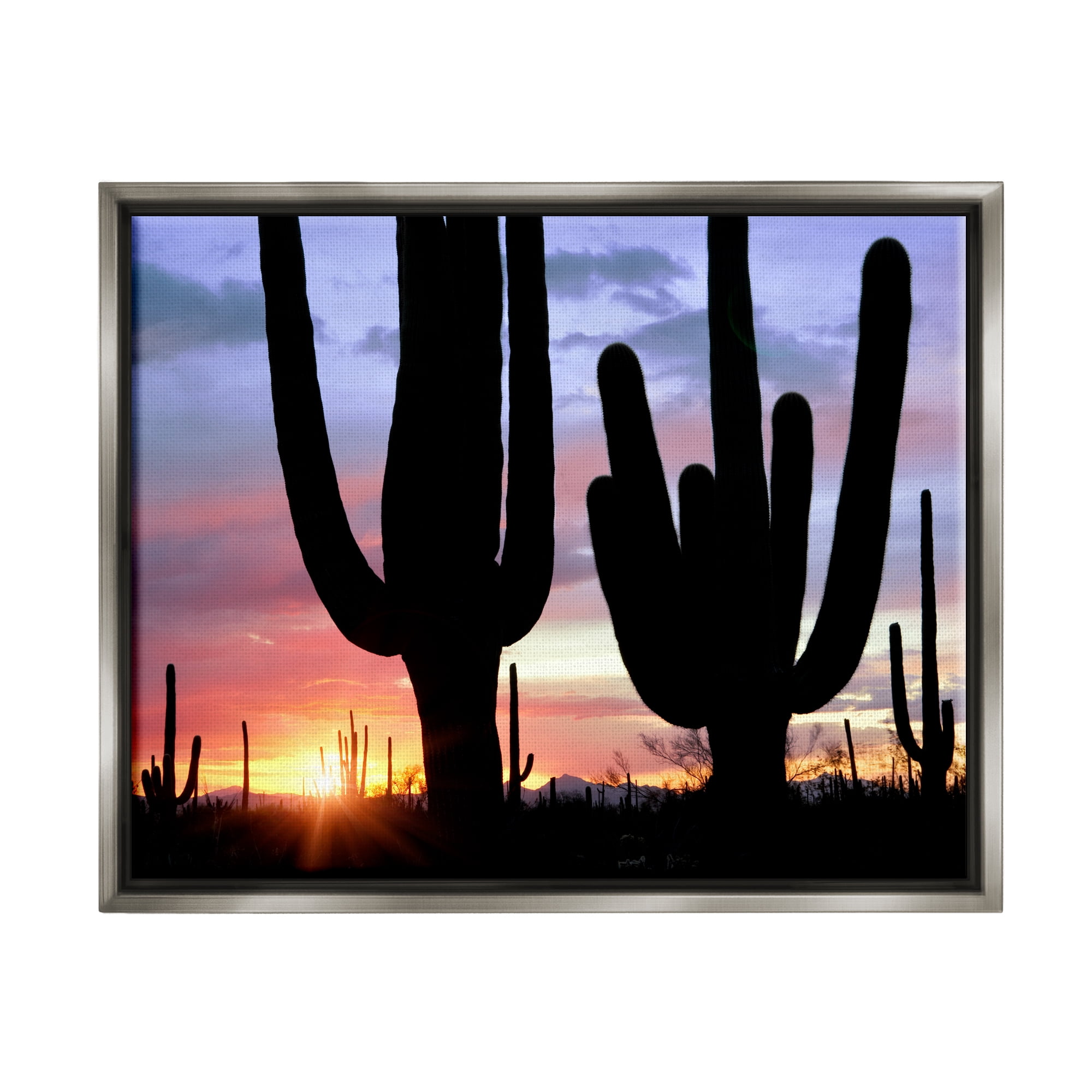 Stupell Industries Desert Cactus Sunset Silhouettes Landscape Photography Gray Floater Framed Art Print Wall Art