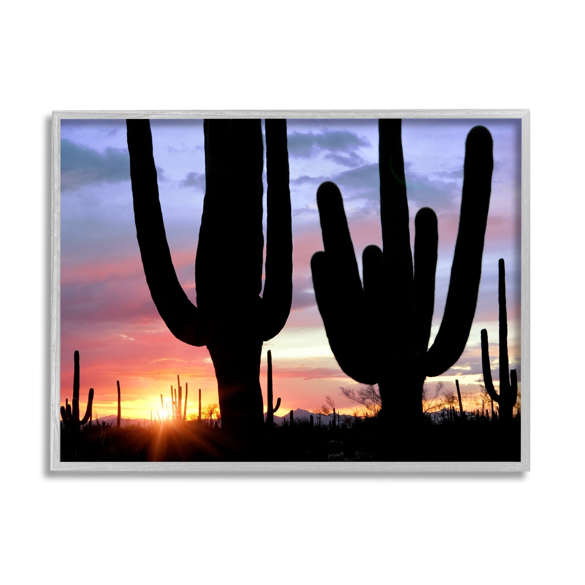 Stupell Industries Desert Cactus Sunset Silhouettes Landscape Photography Gray Framed Art Print Wall Art