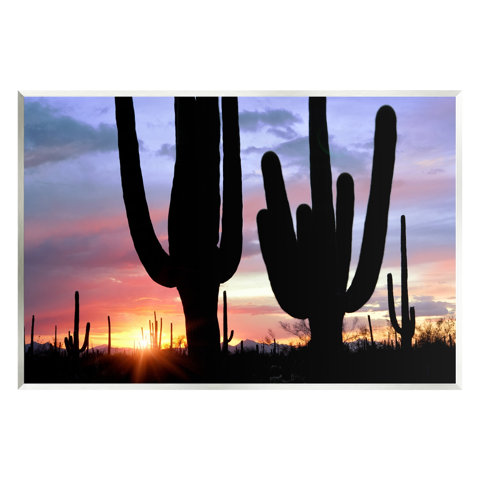 Stupell Industries Desert Cactus Sunset Silhouettes Landscape Photography Unframed Art Print Wall Art