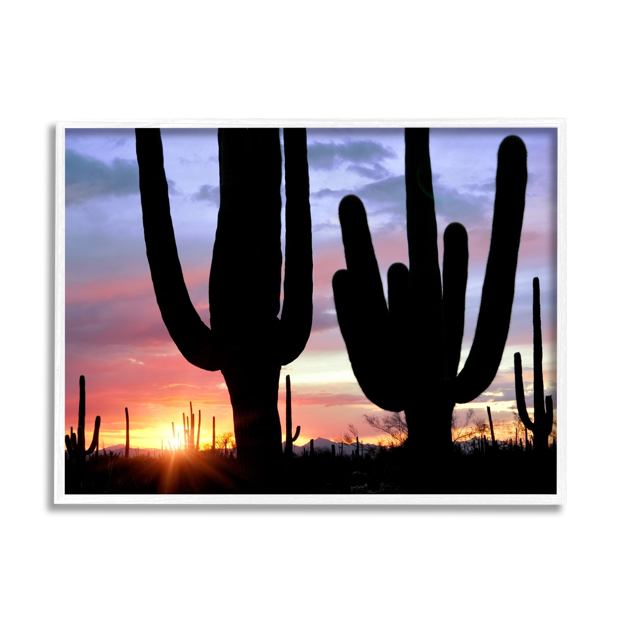 Stupell Industries Desert Cactus Sunset Silhouettes Landscape Photography White Framed Art Print Wall Art