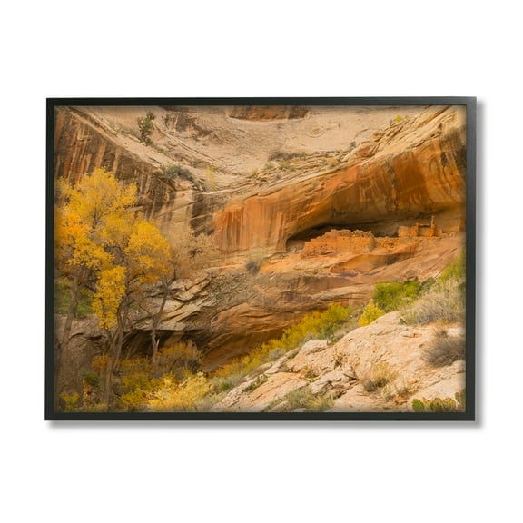 Stupell Industries Desert Foliage Landscape Southwestern Canyon Cliff Nature Photography Black Framed Art Print Wall Art, 11 x 14
