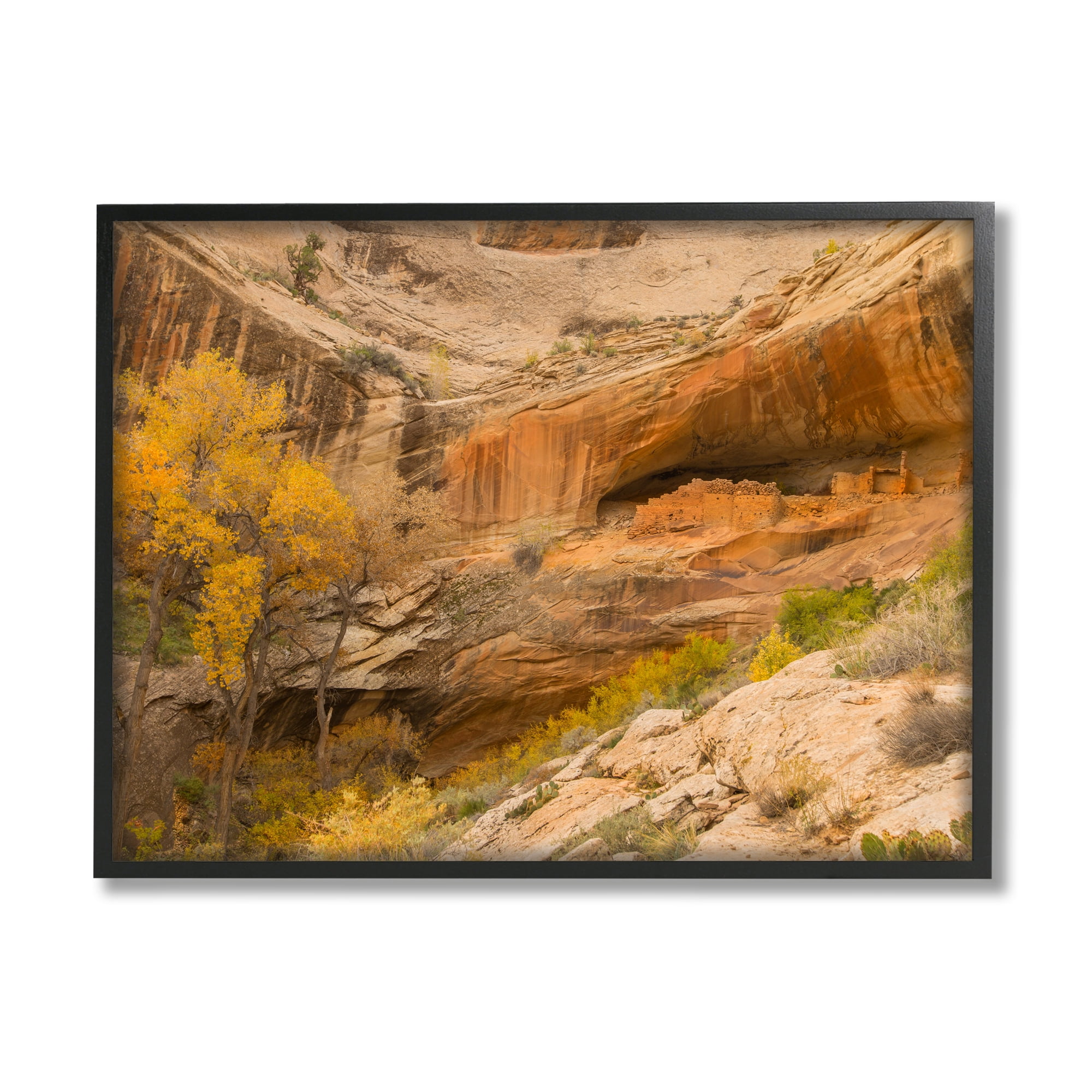 Stupell Industries Desert Foliage Landscape Southwestern Canyon Cliff Nature Photography Black ...