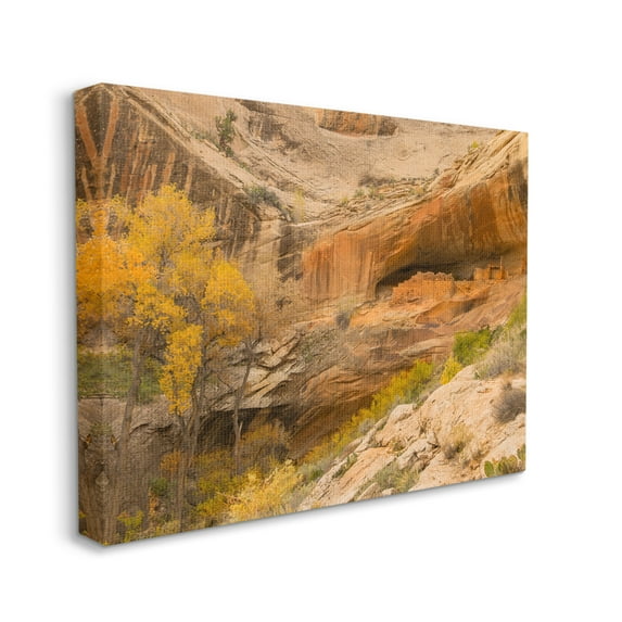 Stupell Industries Desert Foliage Landscape Southwestern Canyon Cliff Nature Photography Gallery Wrapped Canvas Print Wall Art, 36 x 48