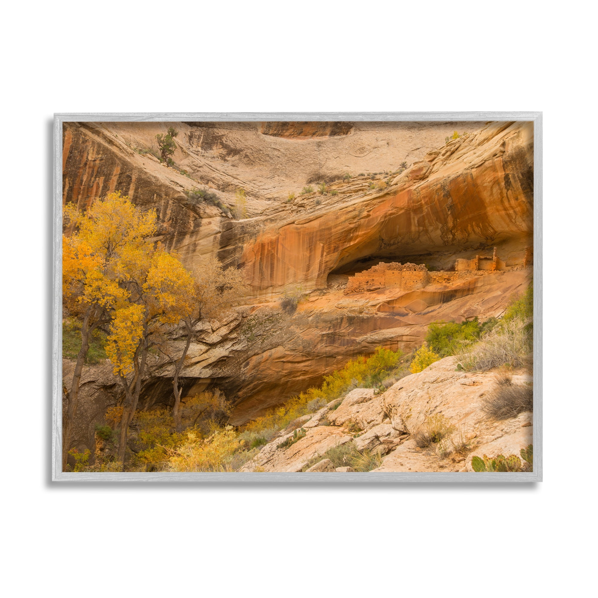 Stupell Industries Desert Foliage Landscape Southwestern Canyon Cliff Nature Photography Gray Framed Art Print Wall Art, 16 x 20