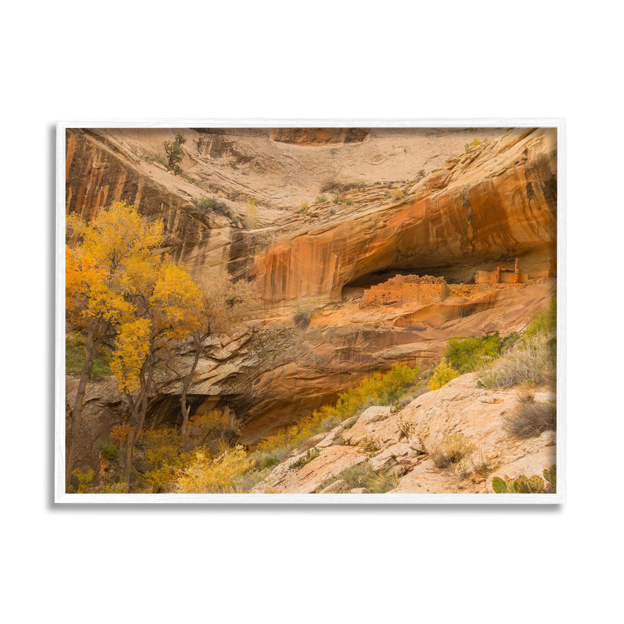 Stupell Industries Desert Foliage Landscape Southwestern Canyon Cliff Nature Photography White Framed Art Print Wall Art, 11 x 14