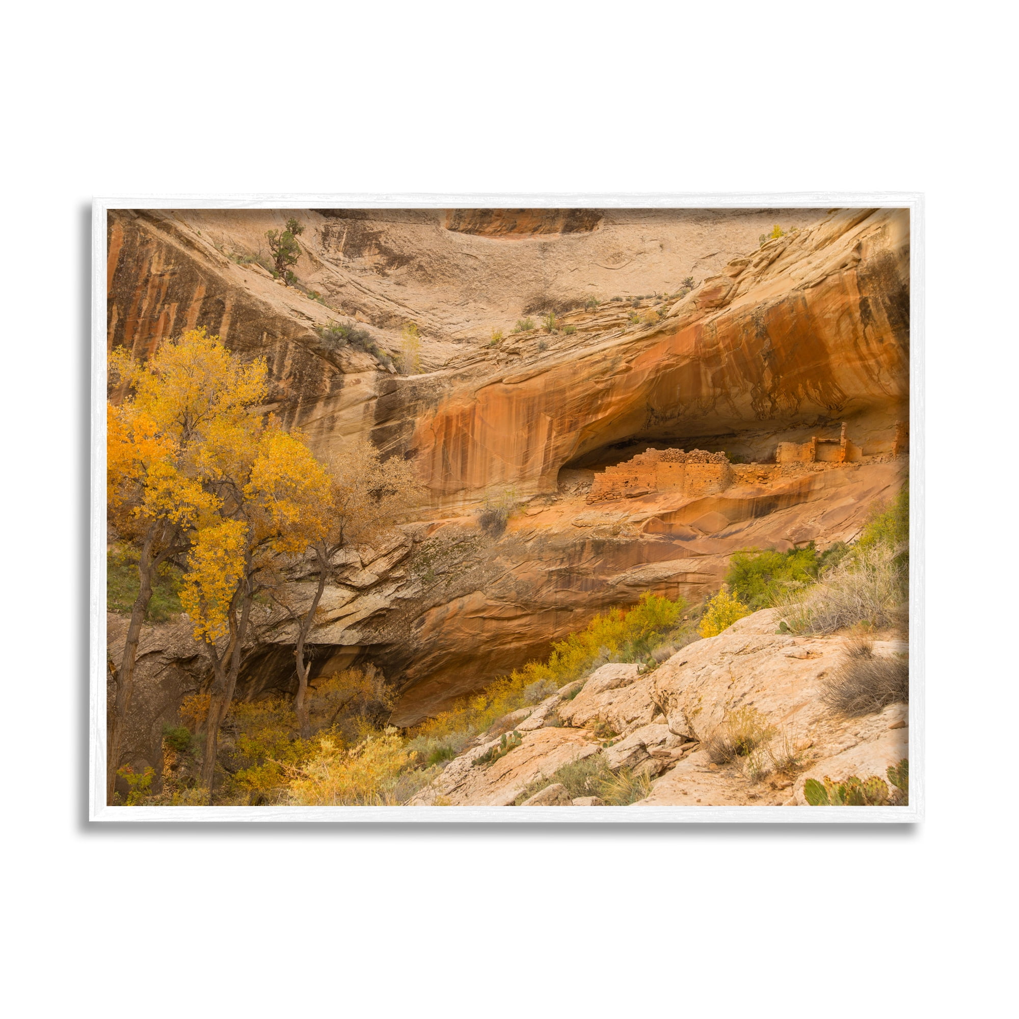 Stupell Industries Desert Foliage Landscape Southwestern Canyon Cliff Nature Photography White Framed Art Print Wall Art, 16 x 20