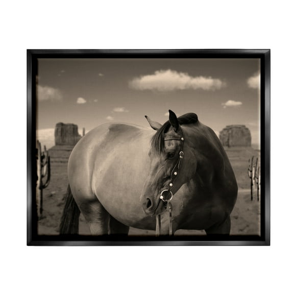 Stupell Industries Desert Horse Photography Animals & Insects Photography Black Floater Framed Canvas Art Print Wall Art, 21 x 17