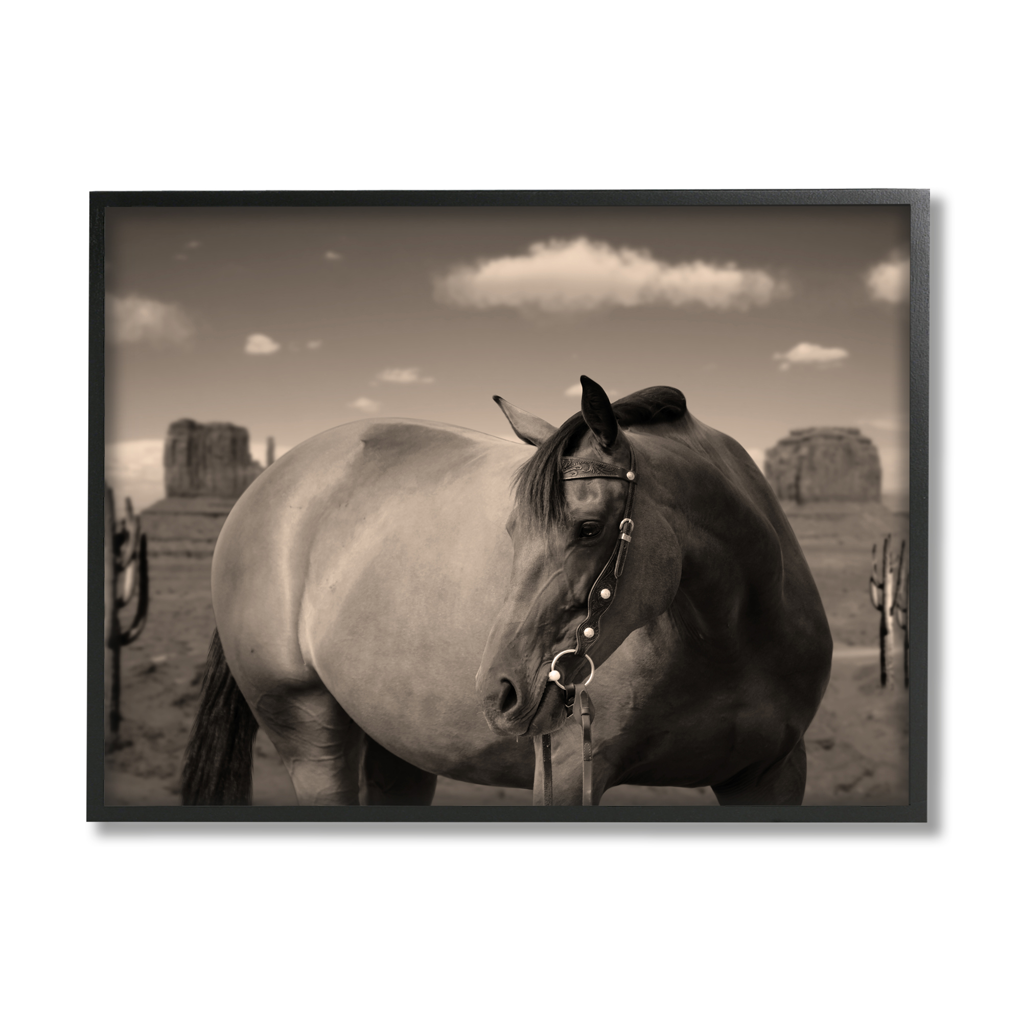 Stupell Industries Desert Horse Photography Animals & Insects Photography Black Framed Art Print Wall Art, 30 x 24