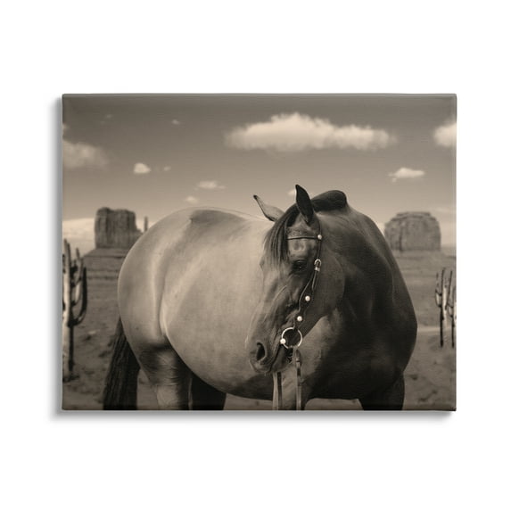 Stupell Industries Desert Horse Photography Animals & Insects Photography Gallery Wrapped Canvas Art Print Wall Art, 30 x 24