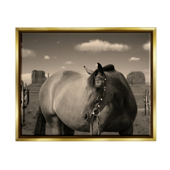 Stupell Industries Desert Horse Photography Animals & Insects Photography Gold Floater Framed Canvas Art Print Wall Art, 21 x 17