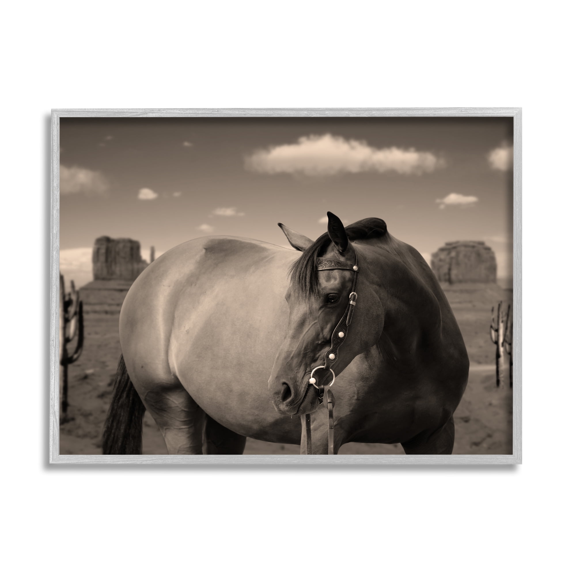 Stupell Industries Desert Horse Photography Animals & Insects Photography Gray Framed Art Print Wall Art, 30 x 24