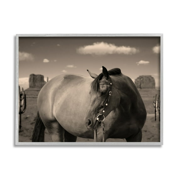 Stupell Industries Desert Horse Photography Animals & Insects Photography Gray Framed Art Print Wall Art, 30 x 24