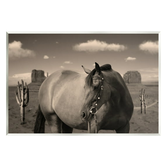 Stupell Industries Desert Horse Photography Animals & Insects Photography Unframed Art Print Wall Art, 15 x 10