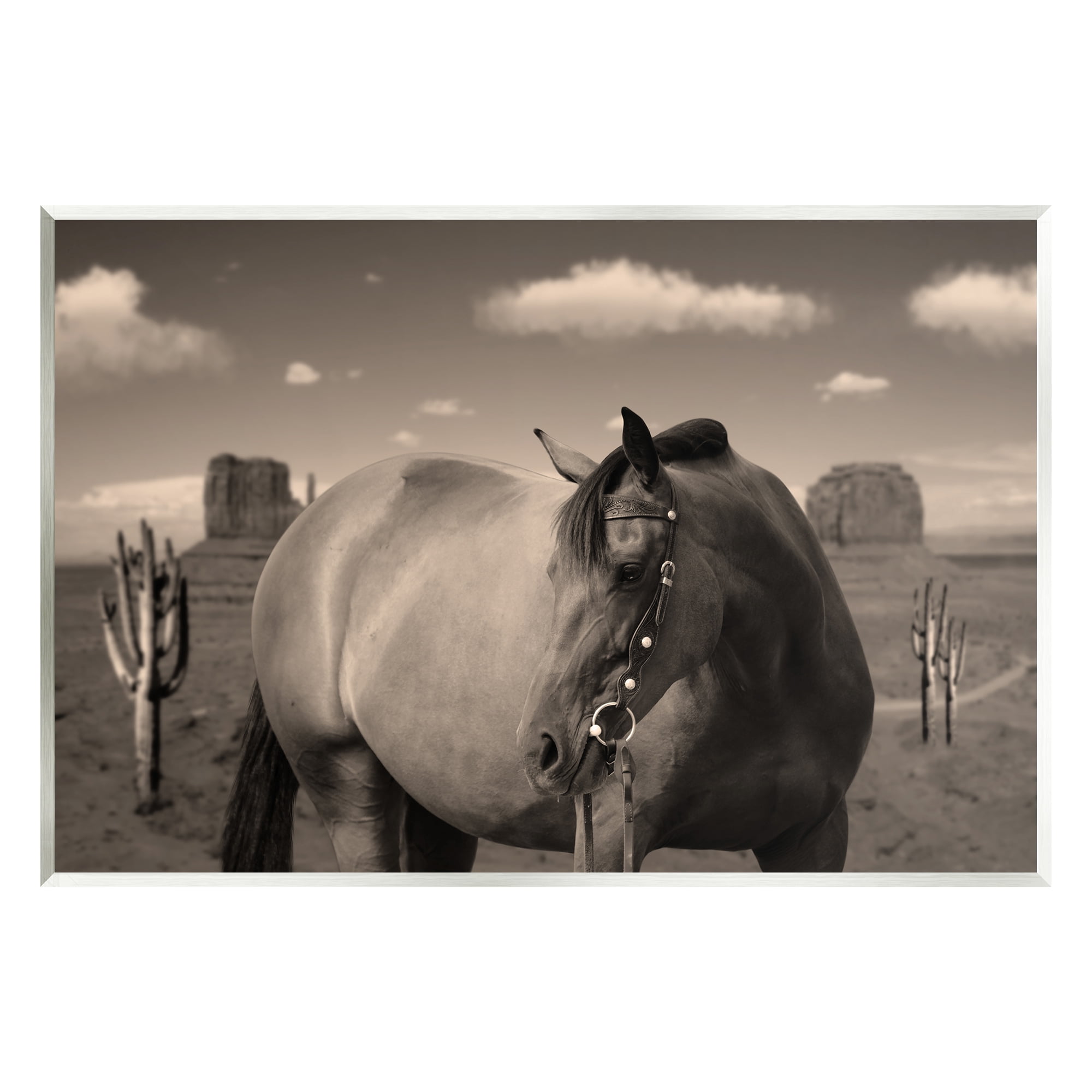 Stupell Industries Desert Horse Photography Animals & Insects Photography Unframed Art Print Wall Art, 19 x 13