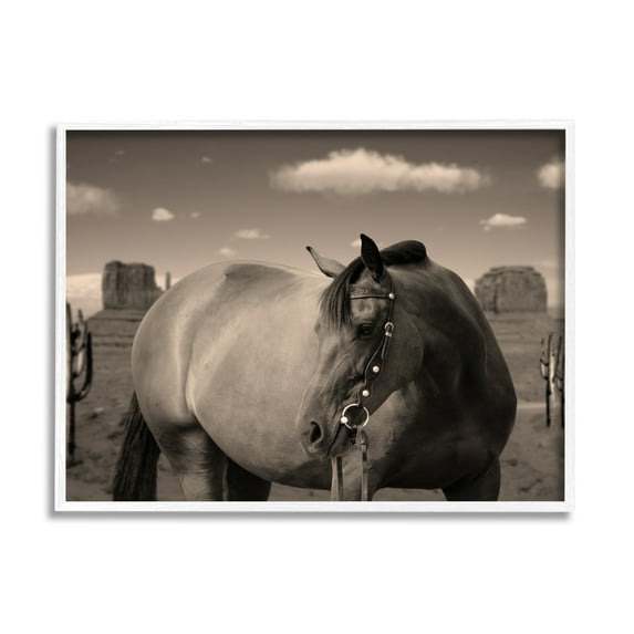 Stupell Industries Desert Horse Photography Animals & Insects Photography White Framed Art Print Wall Art, 14 x 11