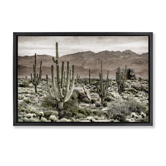 Stupell Industries Rustic Lodge Desert Land Cacti Wilderness Black Floating Frame Canvas Art, 25 x 17, by Kim Allen
