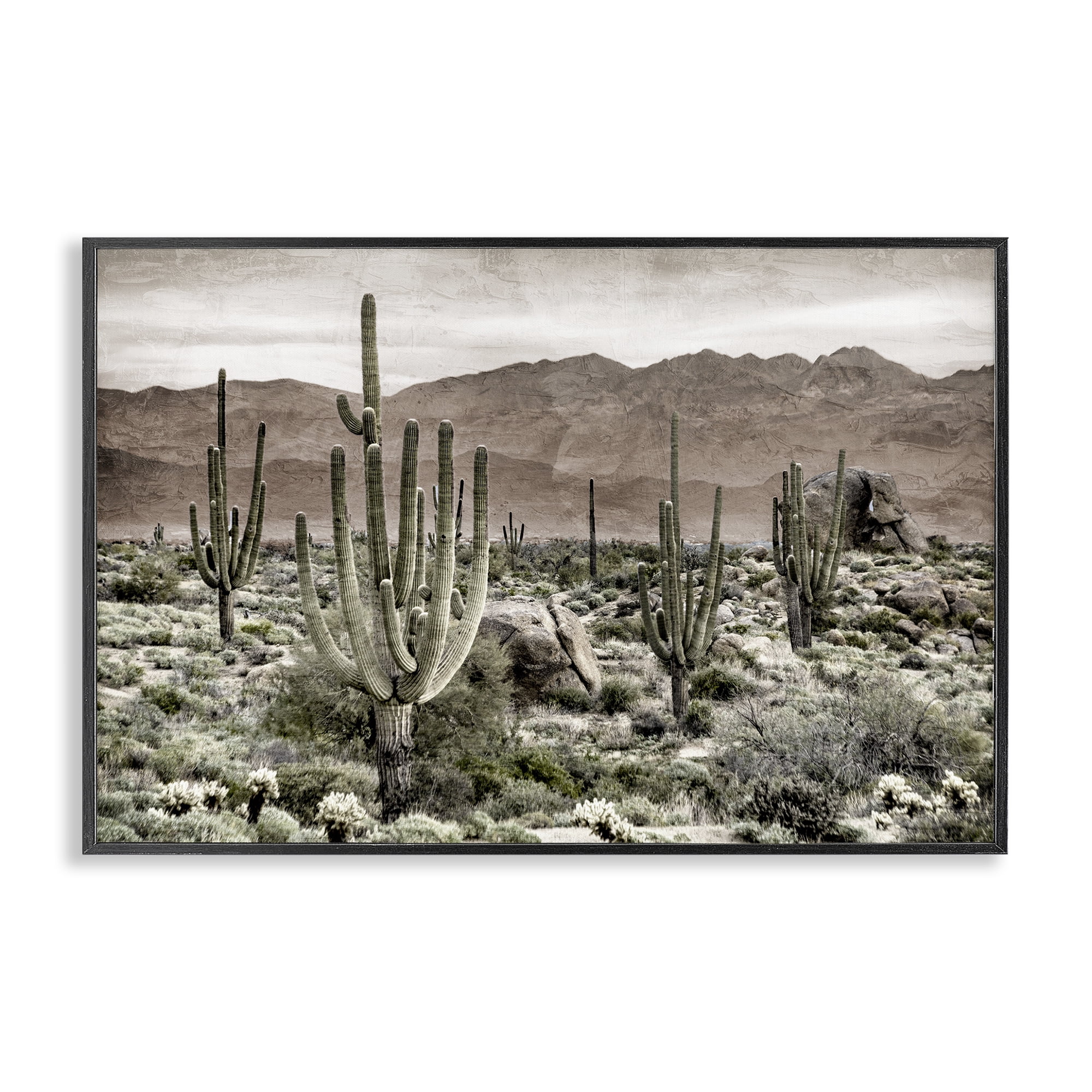 Stupell Industries Desert Land Cacti Wilderness Black Framed Giclee Art, design by Kim Allen