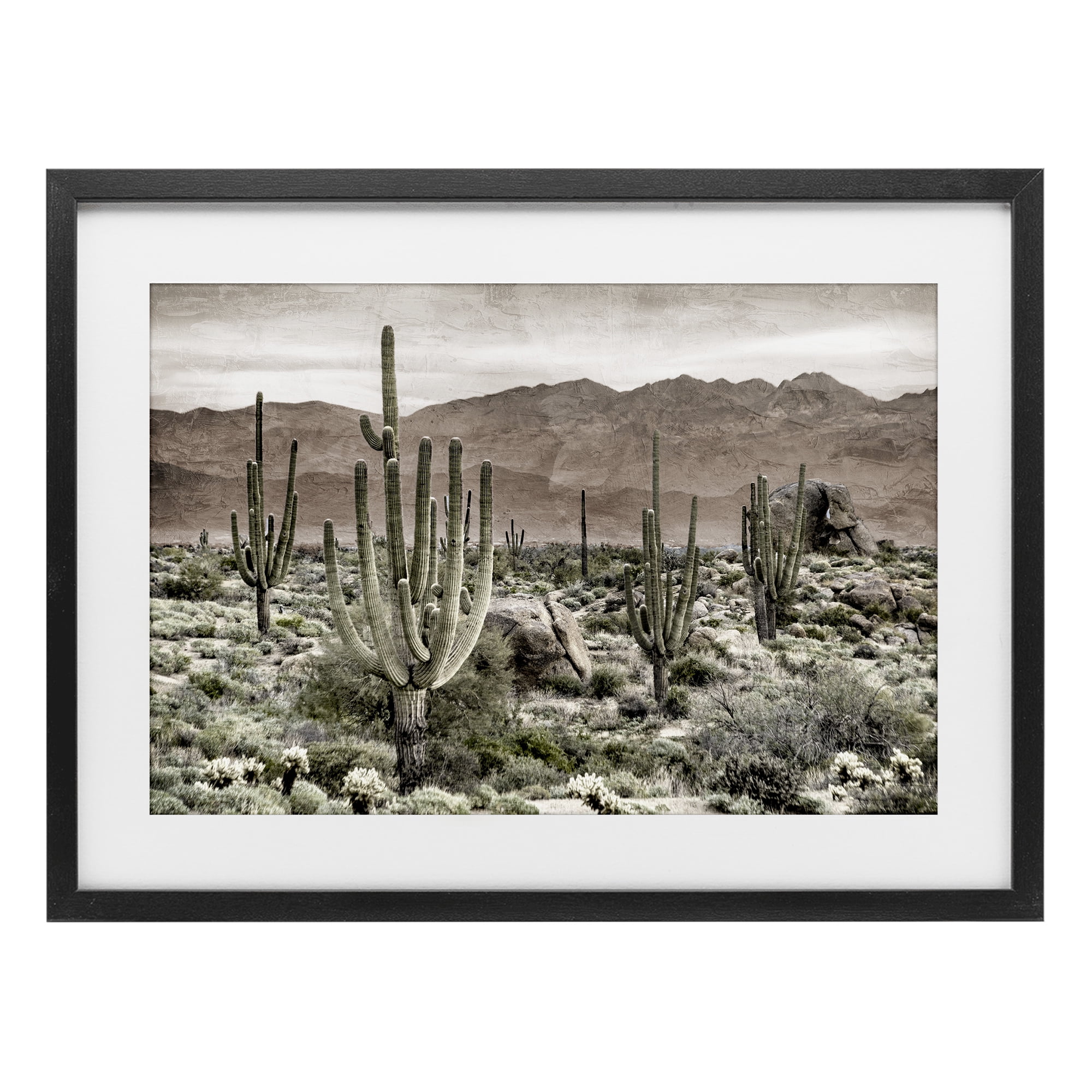 Stupell Industries Desert Land Cacti Wilderness Black Framed Print Under Glass, design by Kim Allen