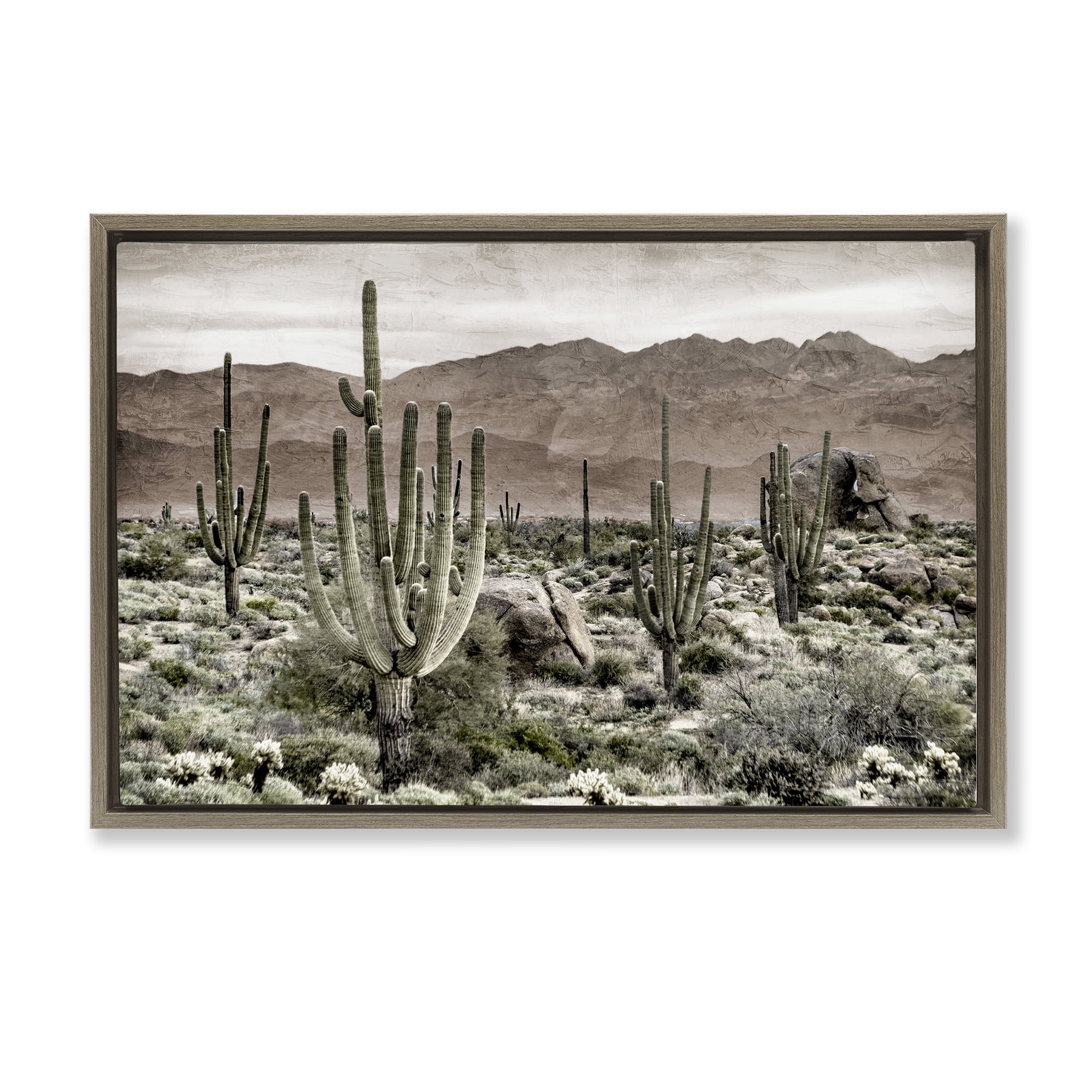 Stupell Industries Desert Land Cacti Wilderness Brown Framed Floater Canvas Wall Art, design by Kim Allen