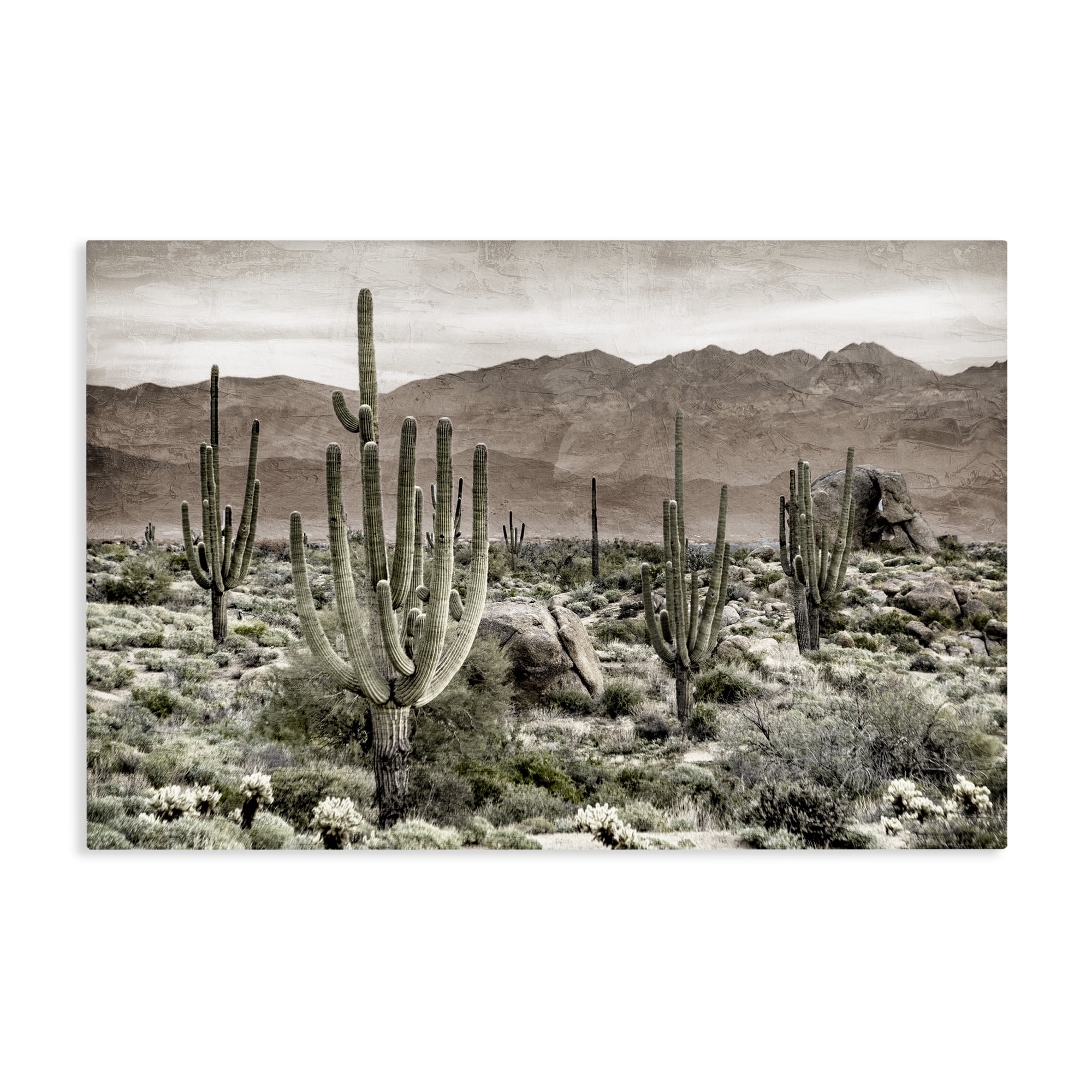 Stupell Industries Desert Land Cacti Wilderness Canvas Wall Art, design by Kim Allen