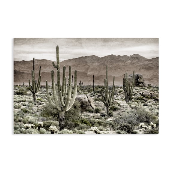 Stupell Industries Rustic Lodge Desert Land Cacti Wilderness Canvas Art, 24 x 16, by Kim Allen