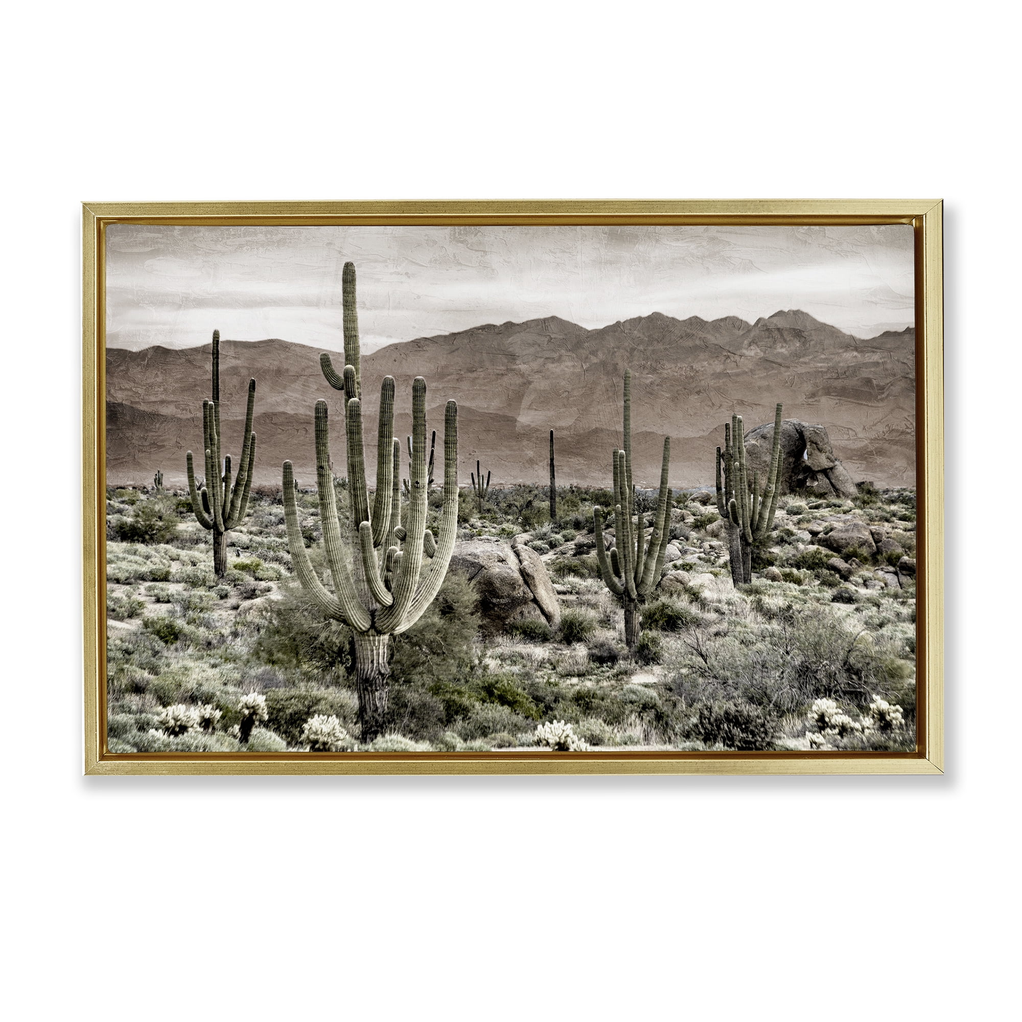 Stupell Industries Desert Land Cacti Wilderness Gold Framed Floater Canvas Wall Art, design by Kim Allen
