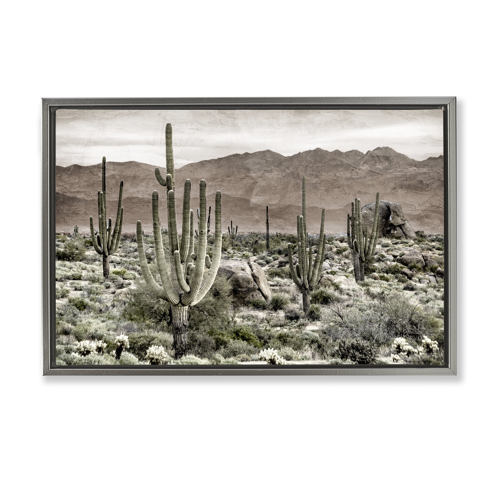 Stupell Industries Desert Land Cacti Wilderness Gray Framed Floater Canvas Wall Art, design by Kim Allen