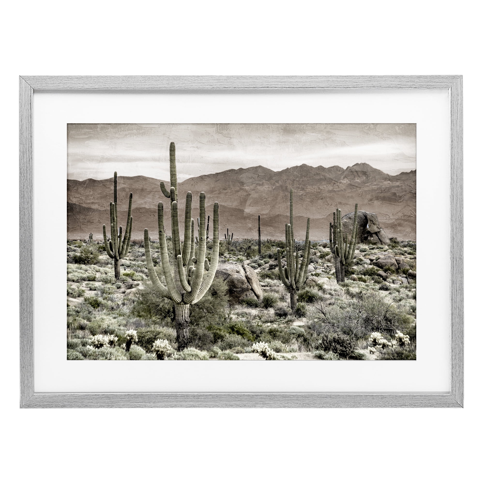Stupell Industries Desert Land Cacti Wilderness Gray Framed Print Under Glass, design by Kim Allen