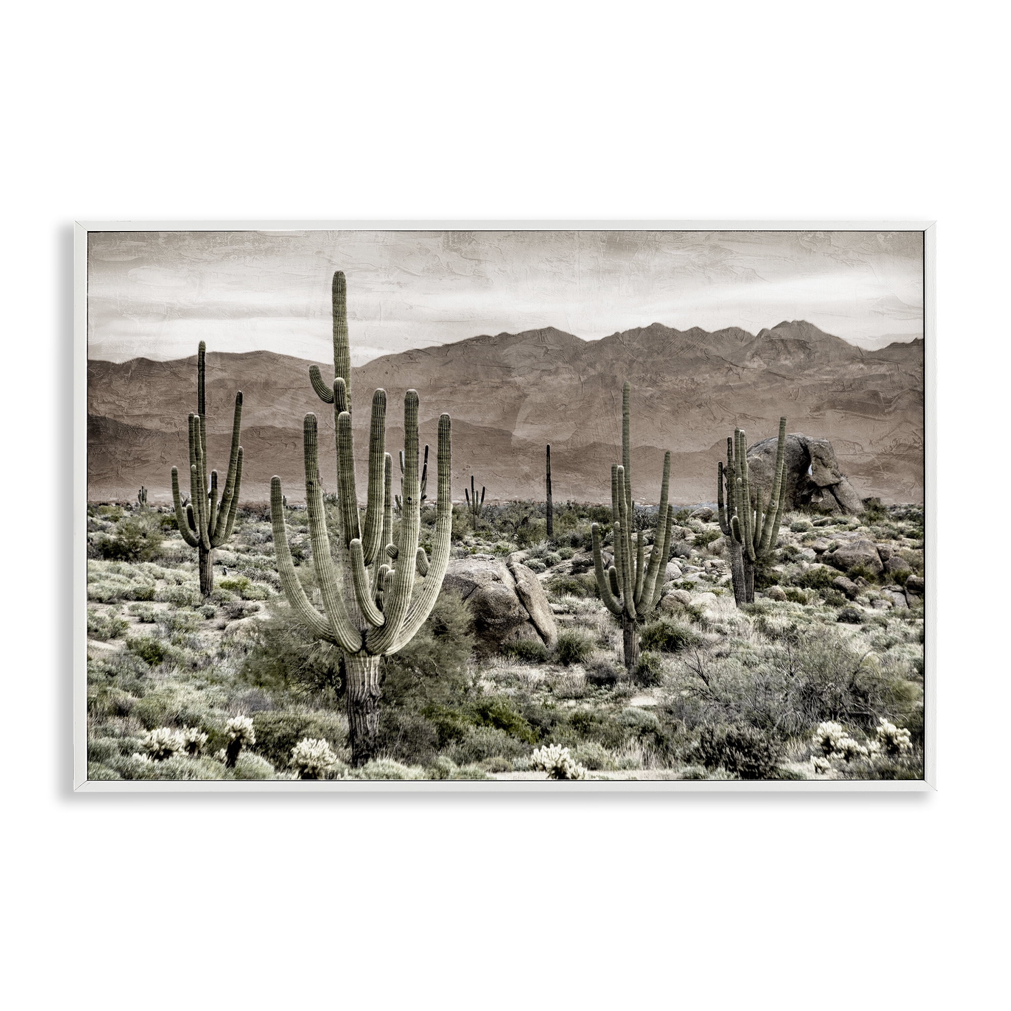 Stupell Industries Desert Land Cacti Wilderness White Framed Giclee Art, design by Kim Allen