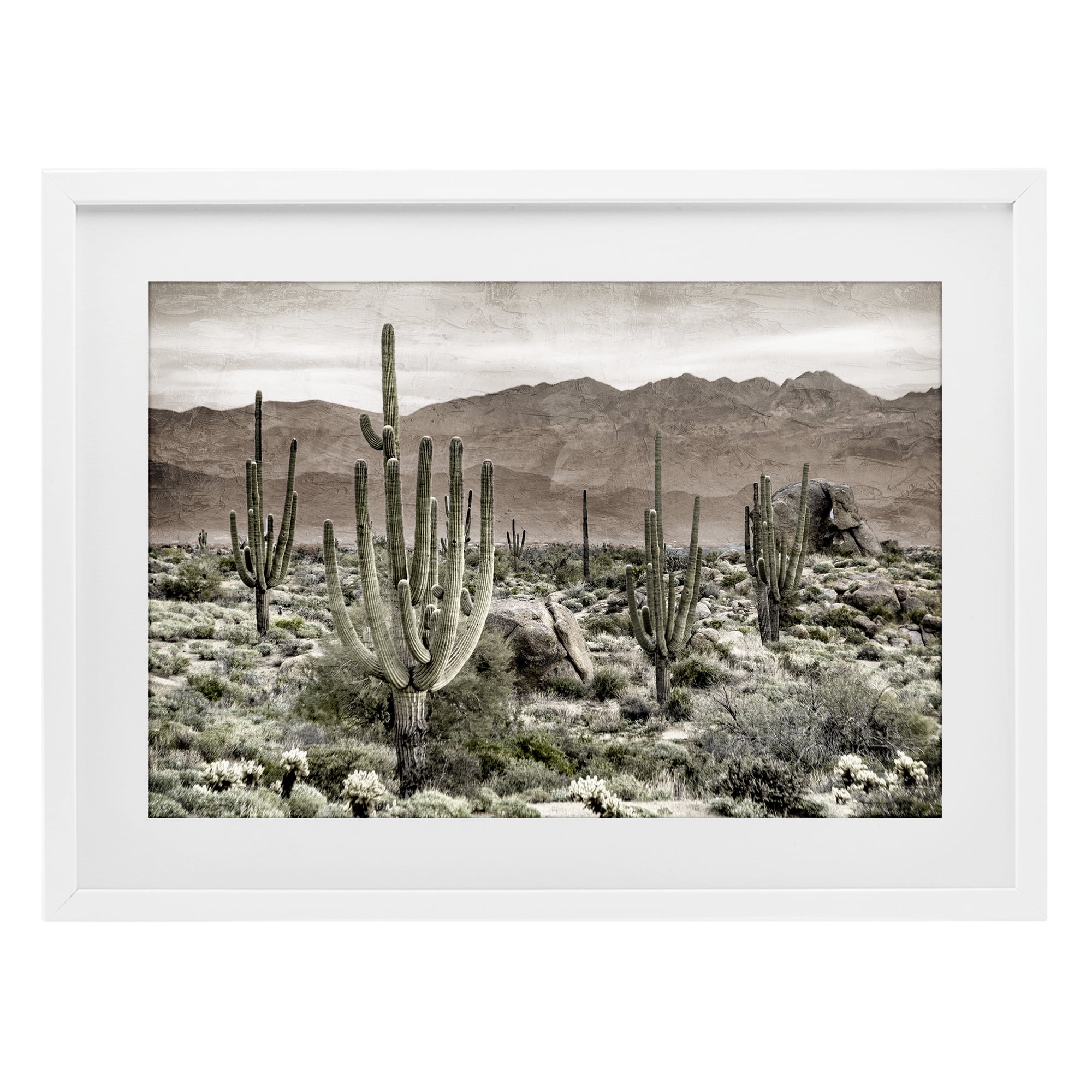 Stupell Industries Desert Land Cacti Wilderness White Framed Print Under Glass, design by Kim Allen