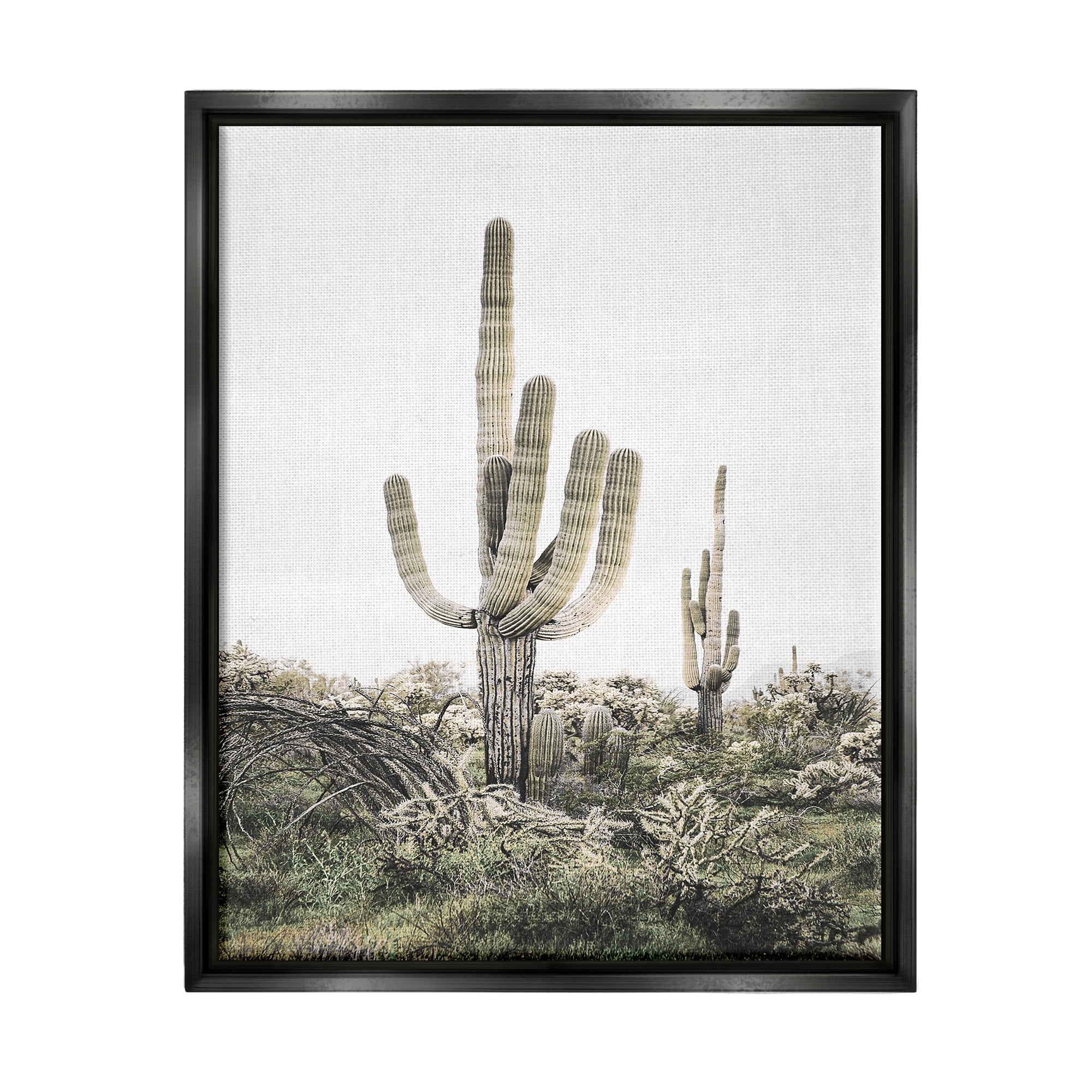 Stupell Industries Desert Landscape Cacti Botanical & Floral Photography Black Floater Framed Art Print Wall Art, 25 x 31