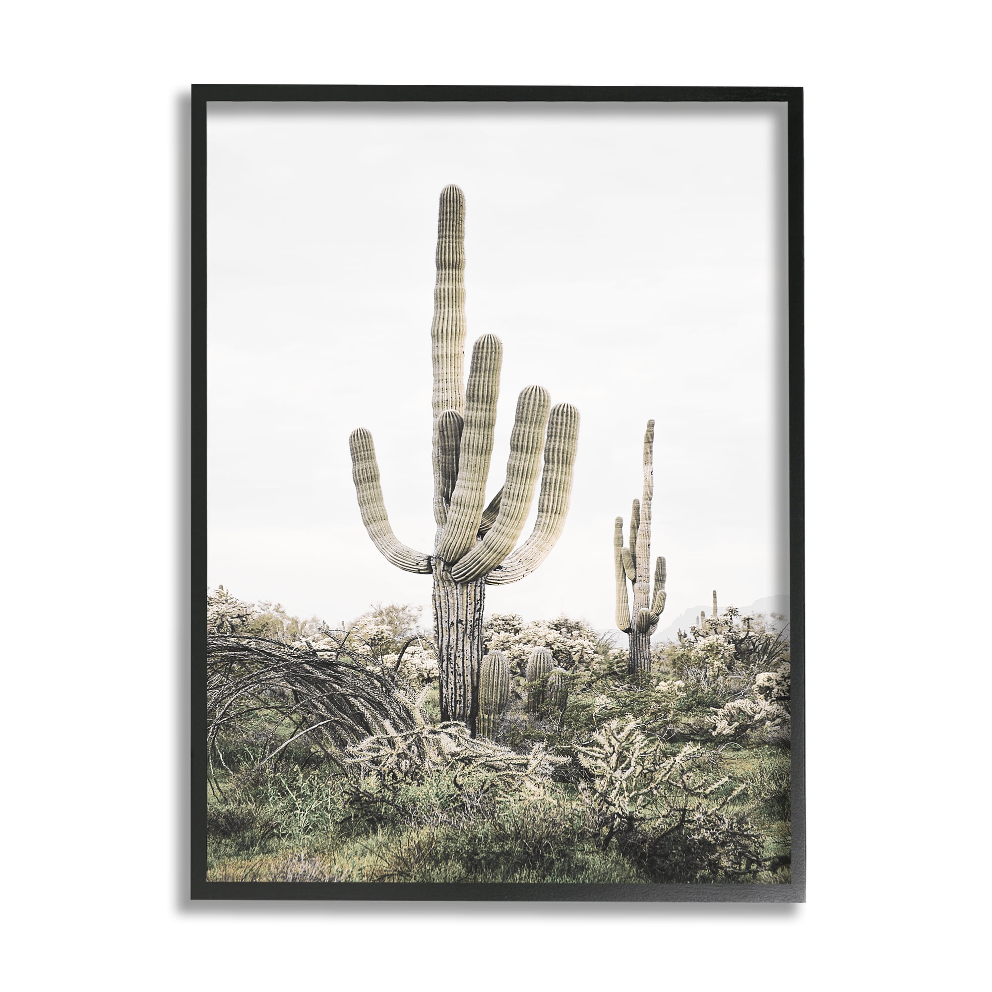 Stupell Industries Desert Landscape Cacti Botanical & Floral Photography Black Framed Art Print Wall Art, 11 x 14