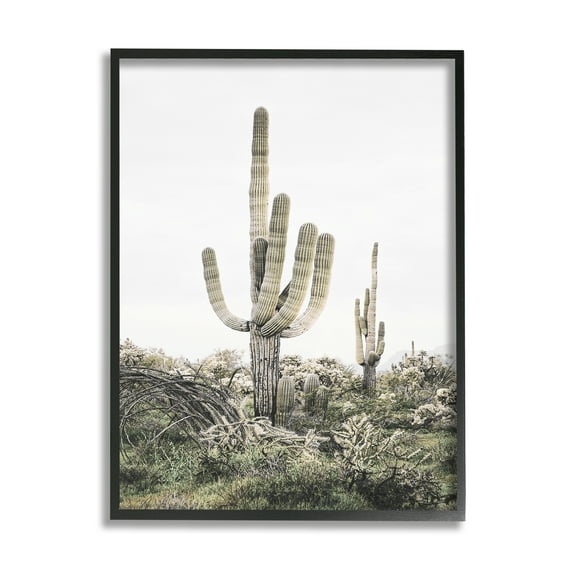 Stupell Industries Desert Landscape Cacti Botanical & Floral Photography Black Framed Art Print Wall Art, 24 x 30