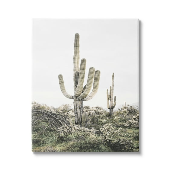 Stupell Industries Desert Landscape Cacti Botanical & Floral Photography Gallery Wrapped Canvas Print Wall Art, 36 x 48