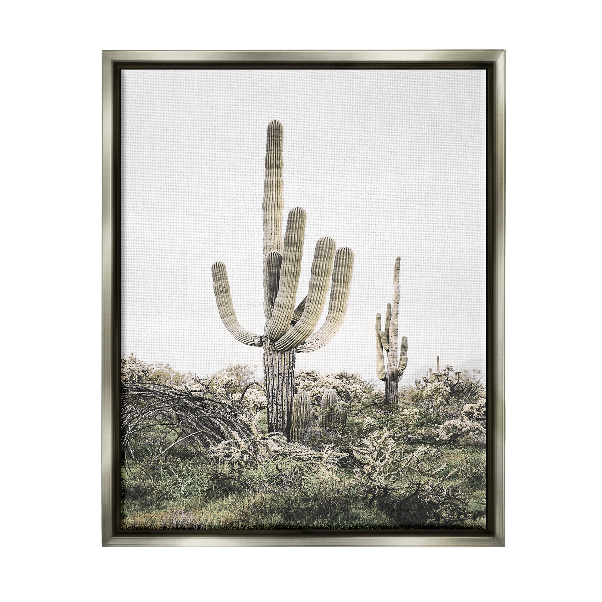 Stupell Industries Desert Landscape Cacti Botanical & Floral Photography Gray Floater Framed Art Print Wall Art, 25 x 31