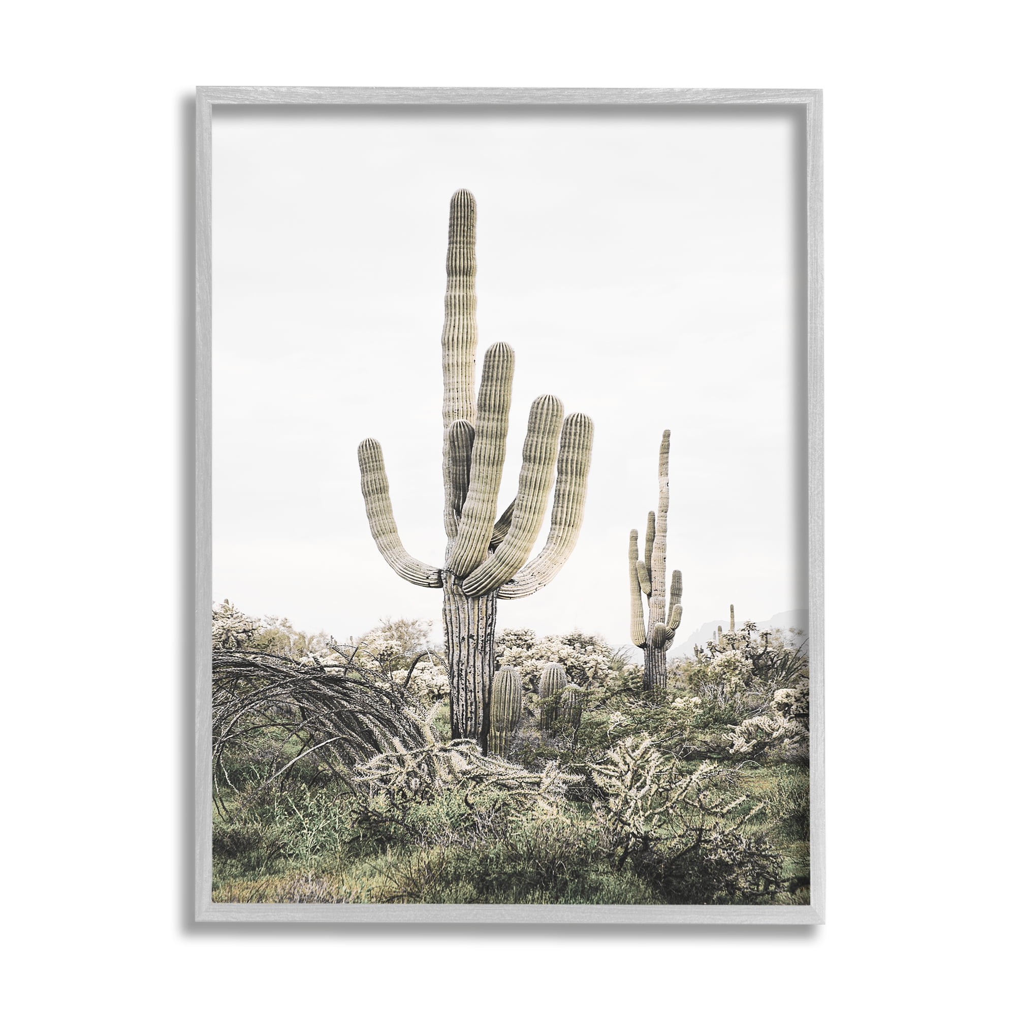 Stupell Industries Desert Landscape Cacti Botanical & Floral Photography Gray Framed Art Print Wall Art, 11 x 14