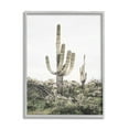 thumbnail image 1 of Stupell Industries Desert Landscape Cacti Botanical & Floral Photography Gray Framed Art Print Wall Art, 11 x 14, 1 of 8