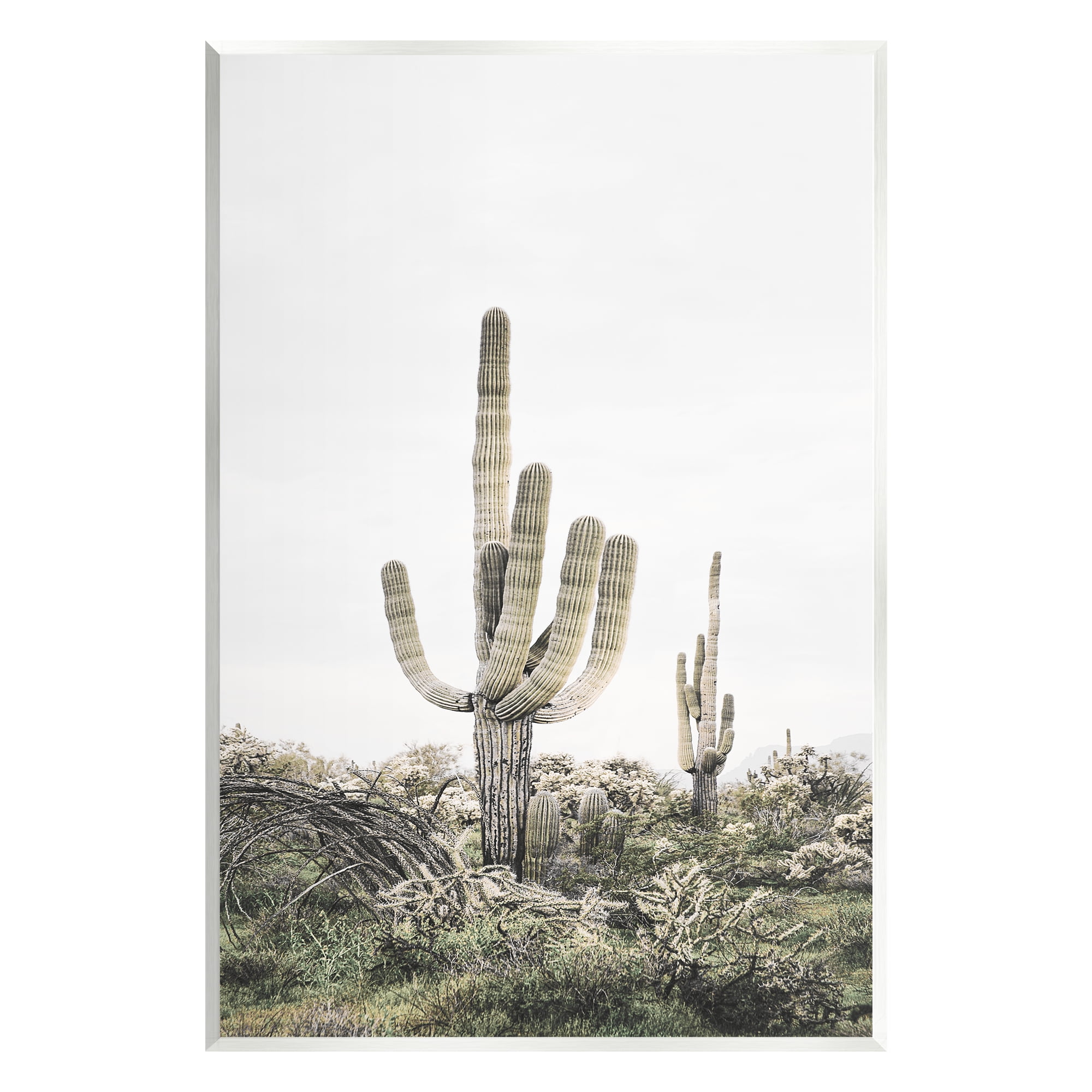Desert Landscape Cacti Art Print on MDF Wood Plaque