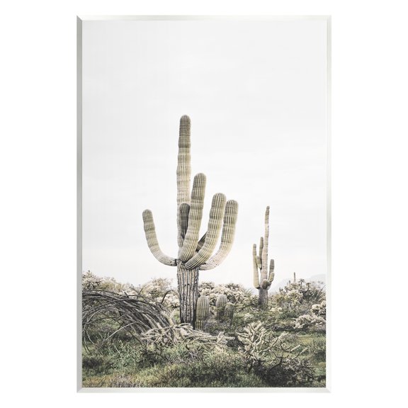 Stupell Industries Desert Landscape Cacti Botanical & Floral Photography Unframed Art Print Wall Art, 10 x 15