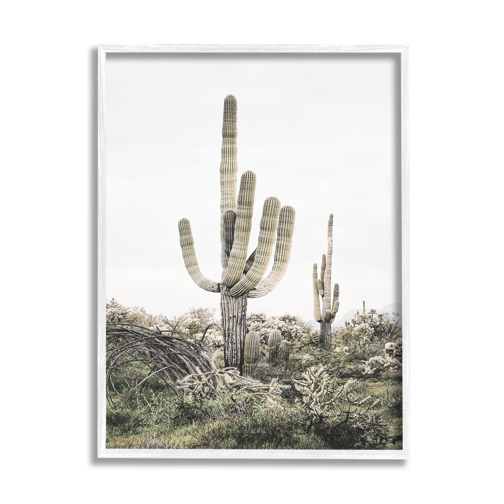 Stupell Industries Desert Landscape Cacti Botanical & Floral Photography White Framed Art Print Wall Art, 11 x 14